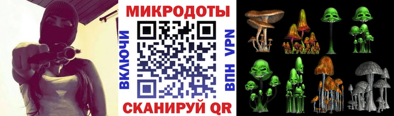 Купить Неман Галлюциногенные грибы Psilocybine cubensis